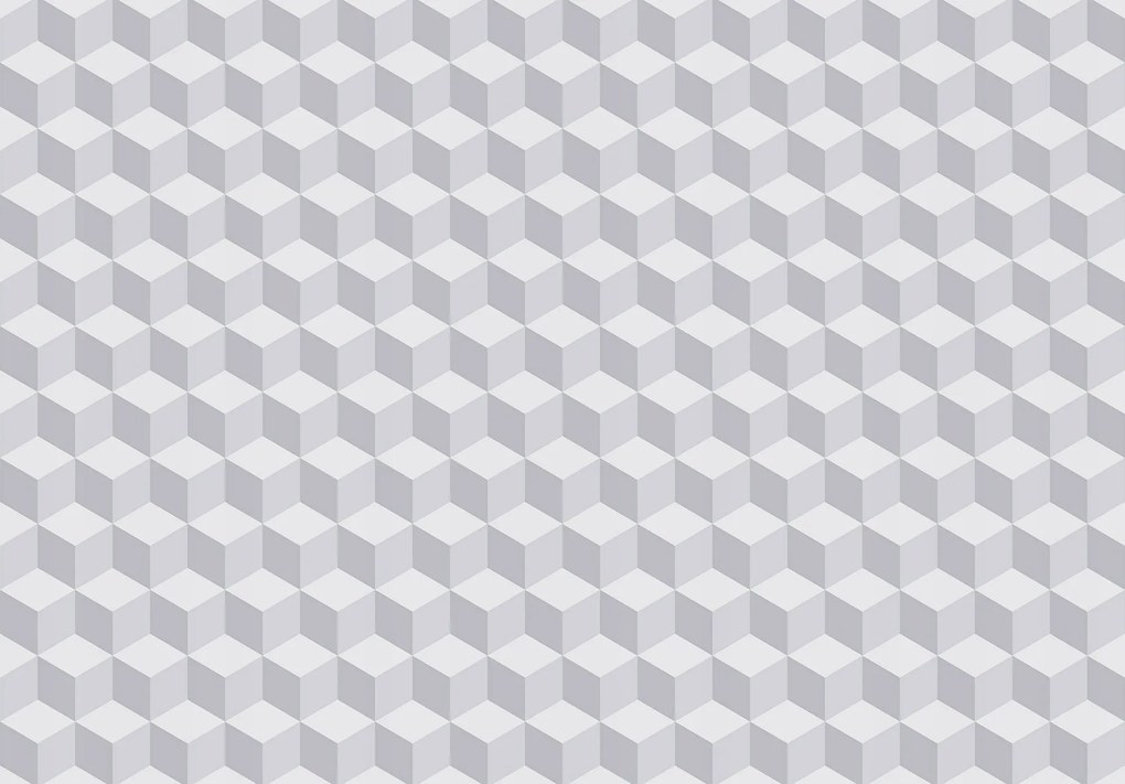 Fotótapéta Geometrikus szürke kockák 3D vinil modern 416x254 +ragasztó
