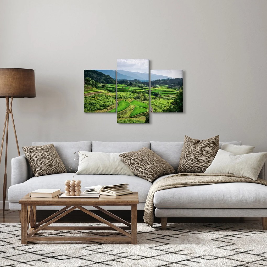 Rizsmező képe (90x60 cm)