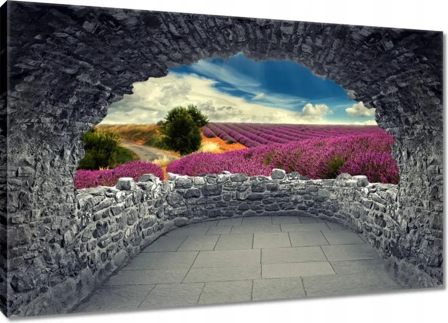 Vászonkép 90x60 Levendulamező