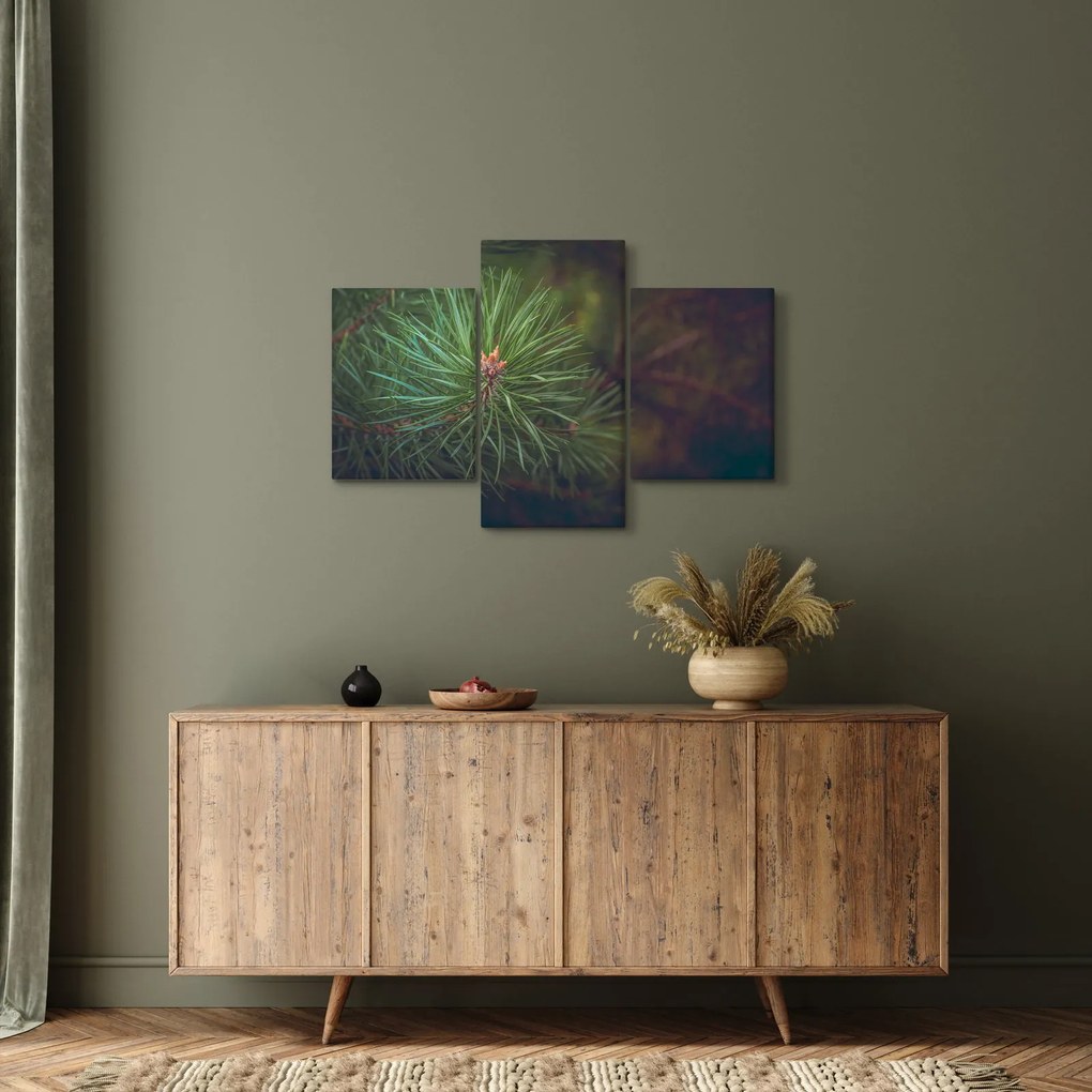 Kép - Fenyőfa részlete (90x60 cm)