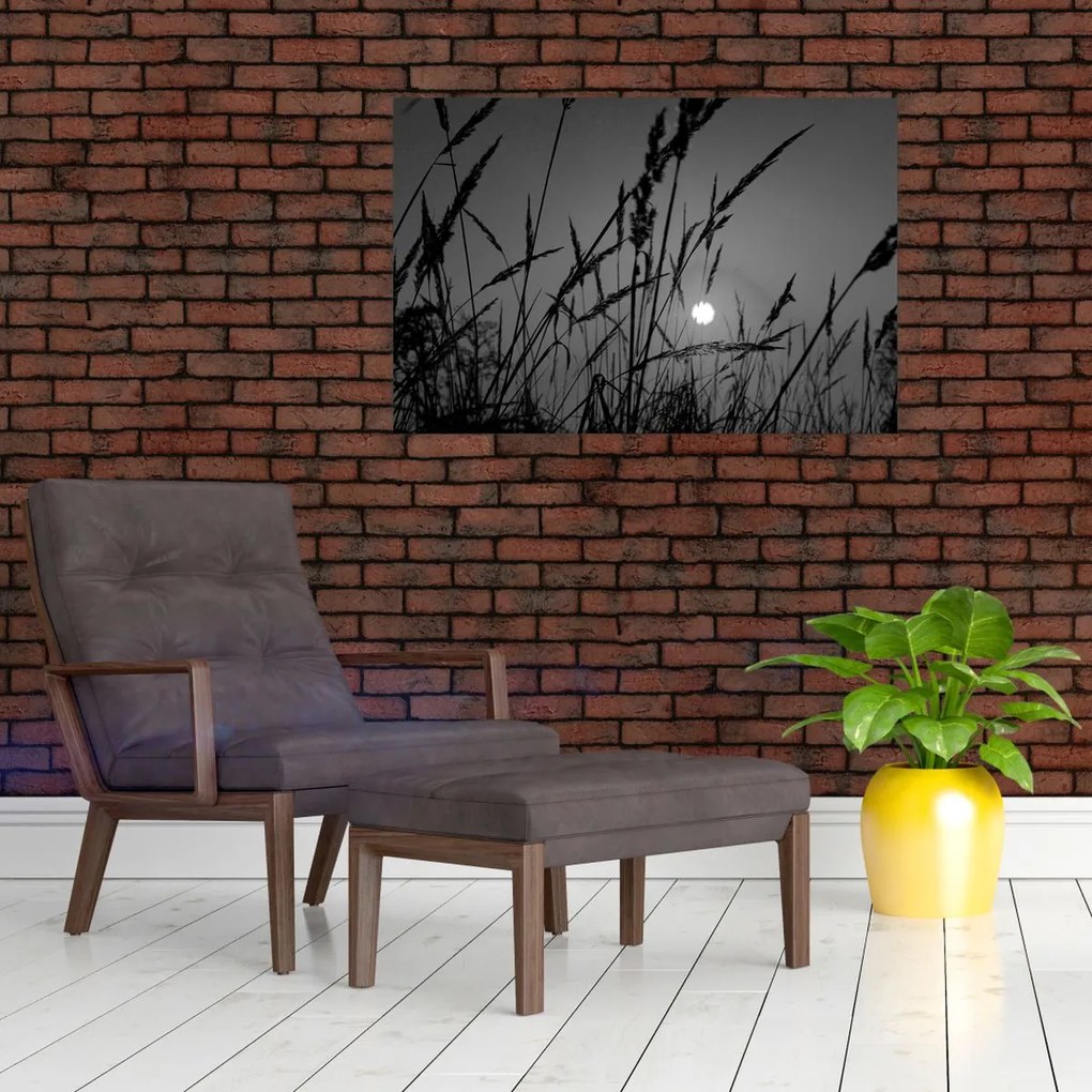 Kép - rét naplementével (90x60 cm)