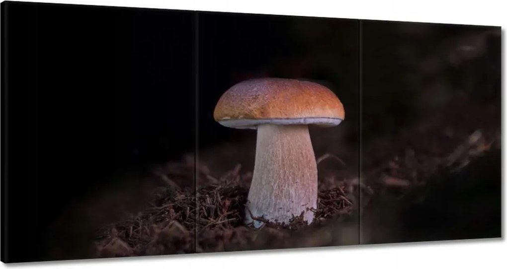 Vászonkép 180x90 A gombák királya