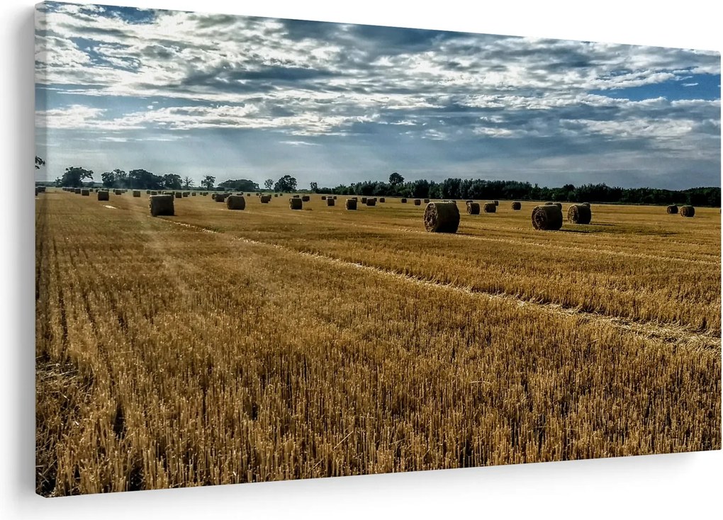 Betakarított gabona mező képe (90x60 cm)