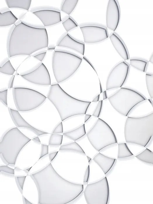 Flizelin fotótapéta Fehér kerekek Minimalizmus Geometria 206x275 +ragasztó