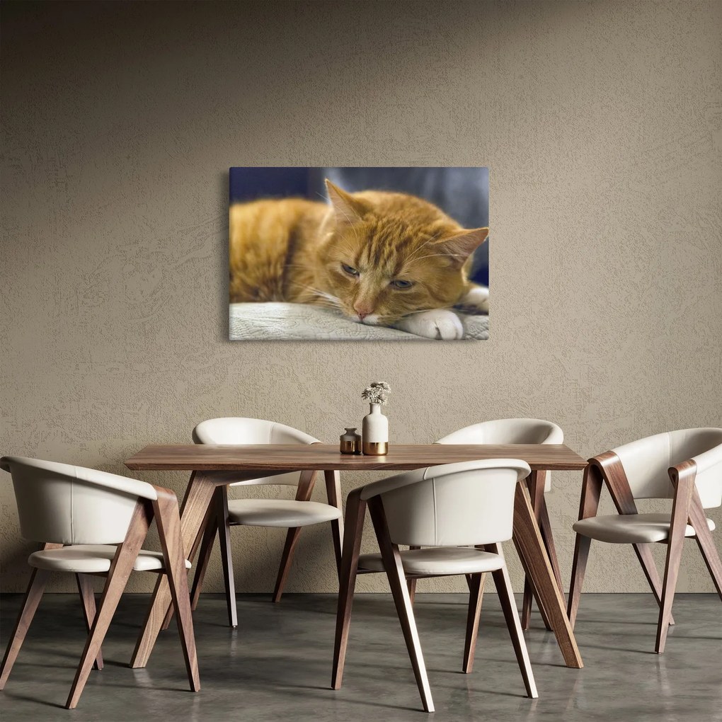 Macska képe (90x60 cm)