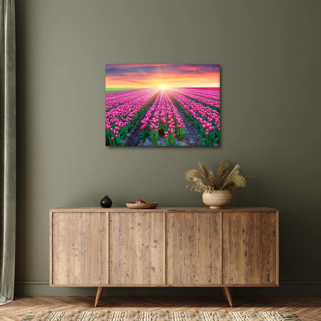 Tulipán mező és a nap képe (70x50 cm)