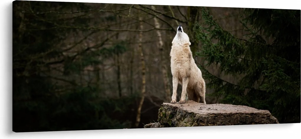 Kép - A farkas üvöltése (120x50 cm)