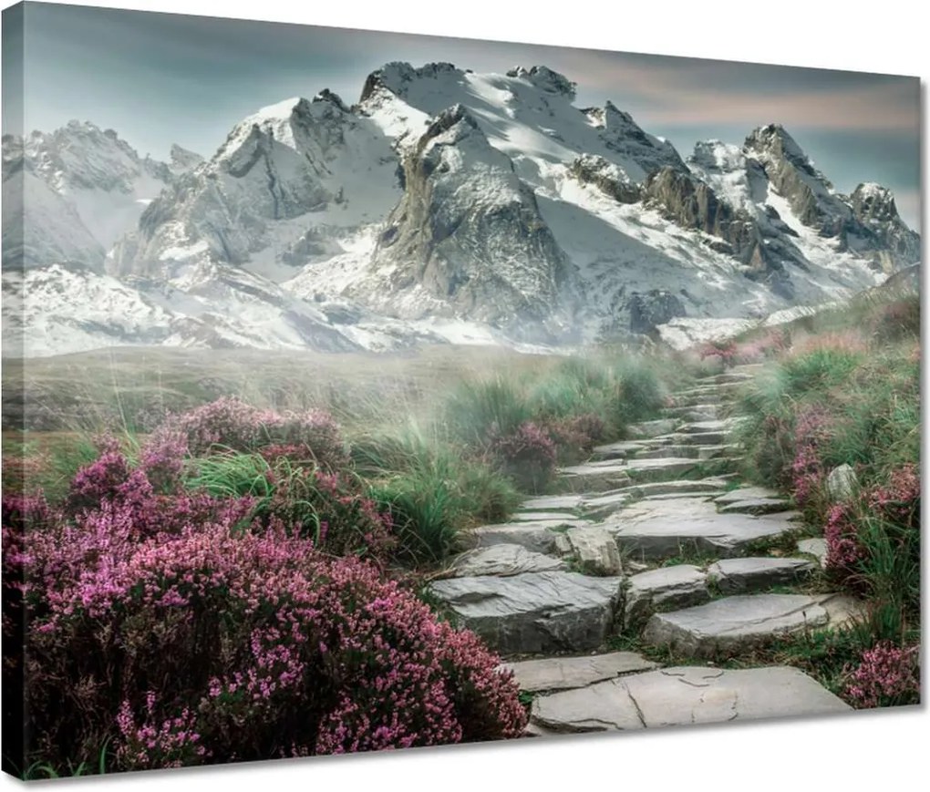 Vászonkép 40x30 Hegyi kilátás Tájkép Köd