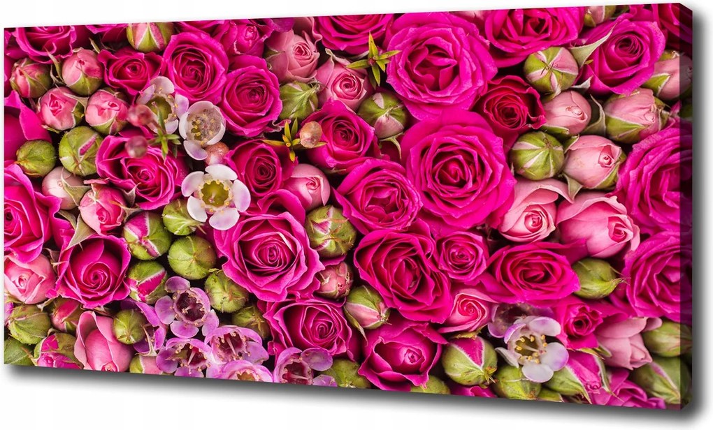 Vászonkép modern Rózsa 100x70 cm