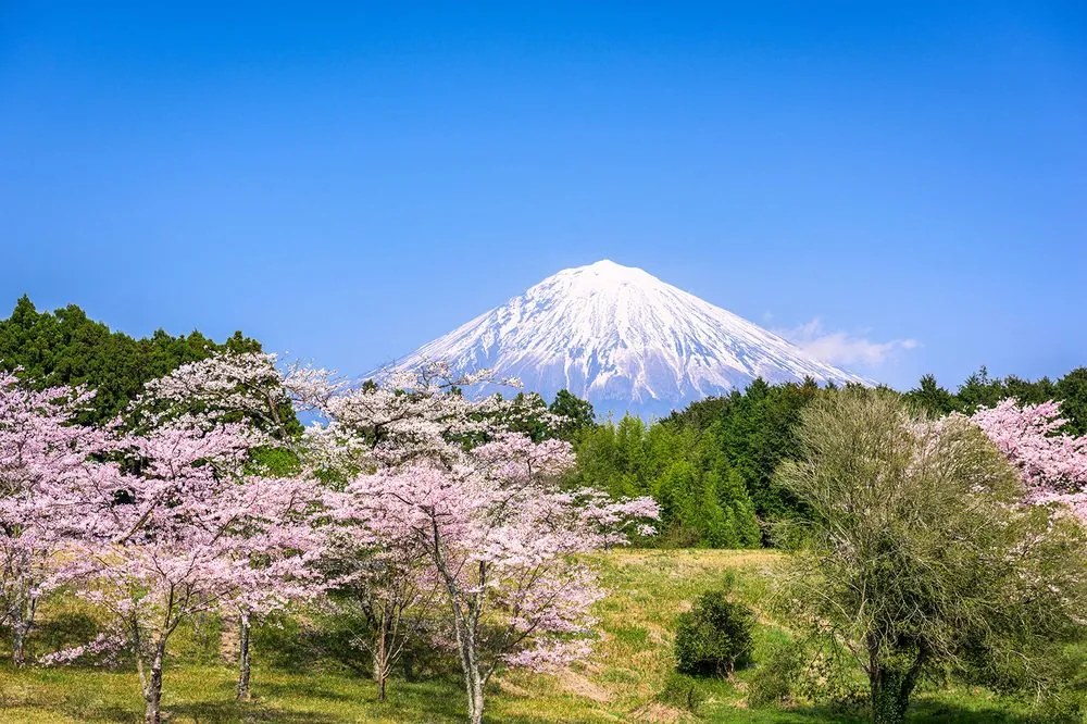 Öntapadó fotótapéta Fuji vulkán