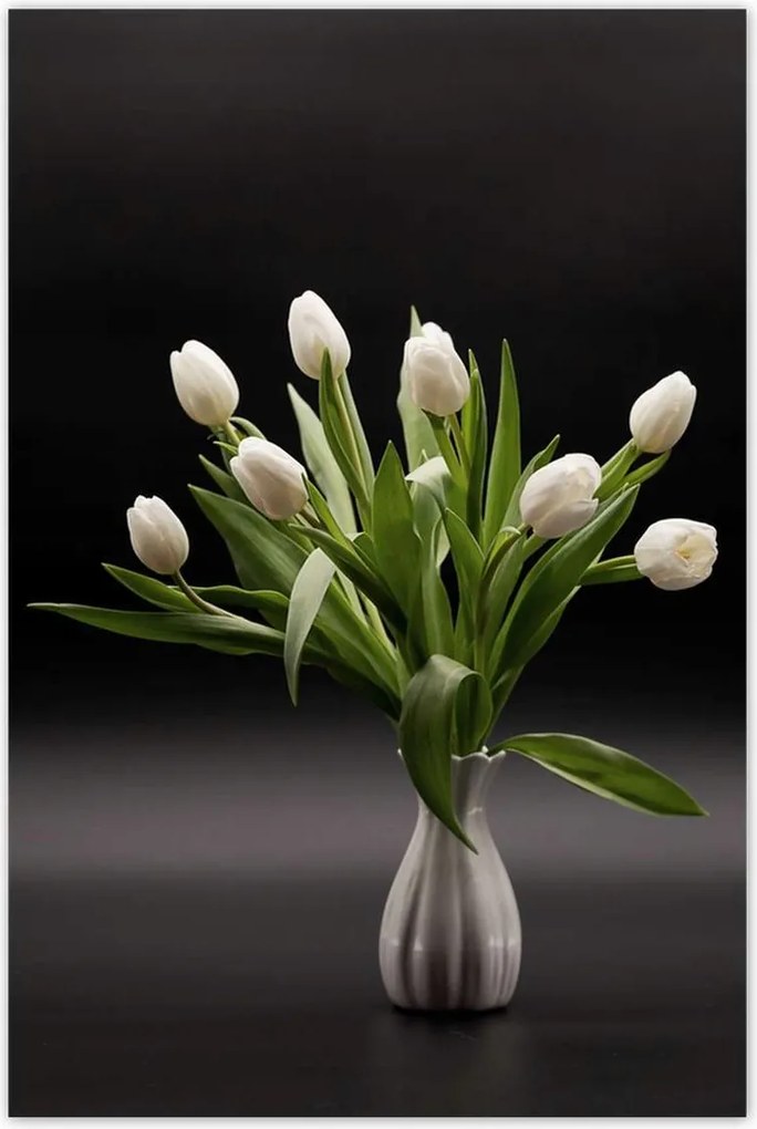 Poszterek 80x120 Fehér tulipánok vázában