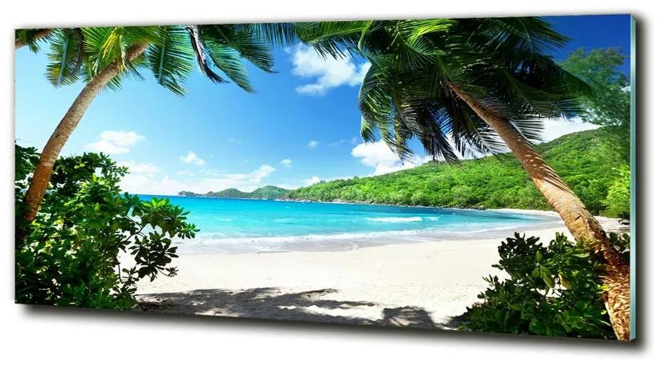 Fali üvegkép Seychelles strand cz-obglass-125x50-61515092