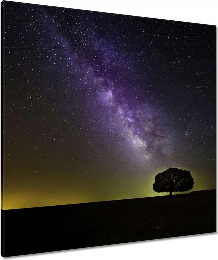 Vászonkép 80x80 Csillagos éj