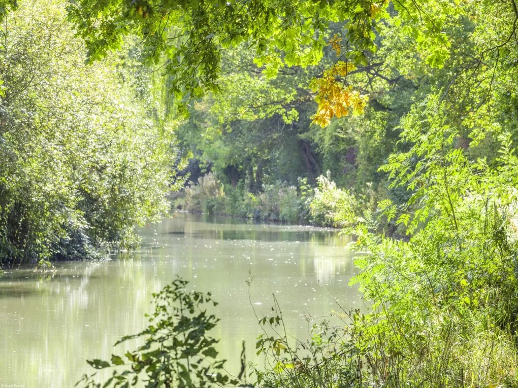 Poszter 40x30cm Basingstoke csatorna, Assaf Frank