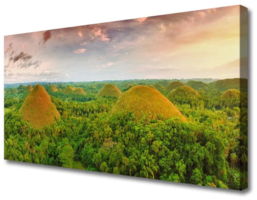 Vászonkép Jungle-erdő Természetvédelmi 125x50 cm