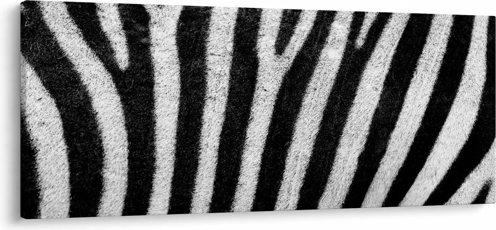 Kép egy zebra bőrről (120x50 cm)