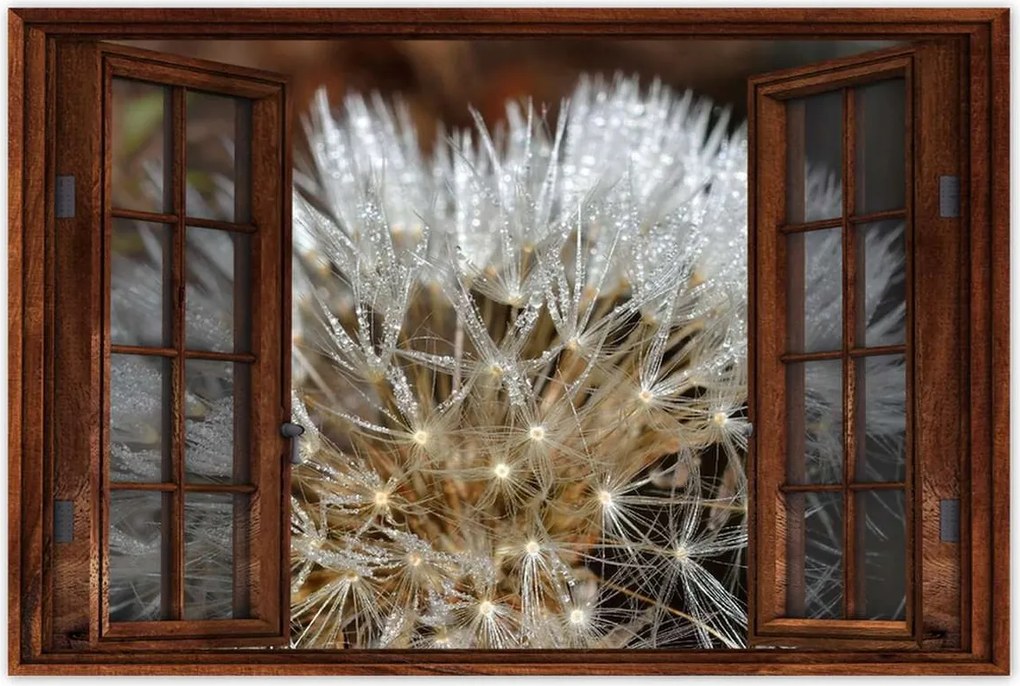 Poszterek 90x60 Pitypang Virág Virágok