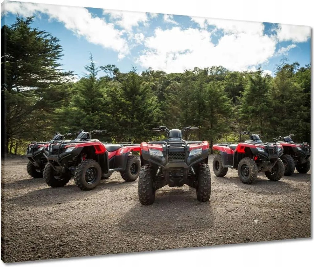 Vászonkép 80x60 Quad Négy kerék Terep