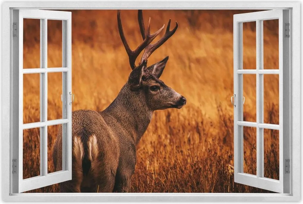 Poszterek 120x80 Szarvas a természetben Vadászat