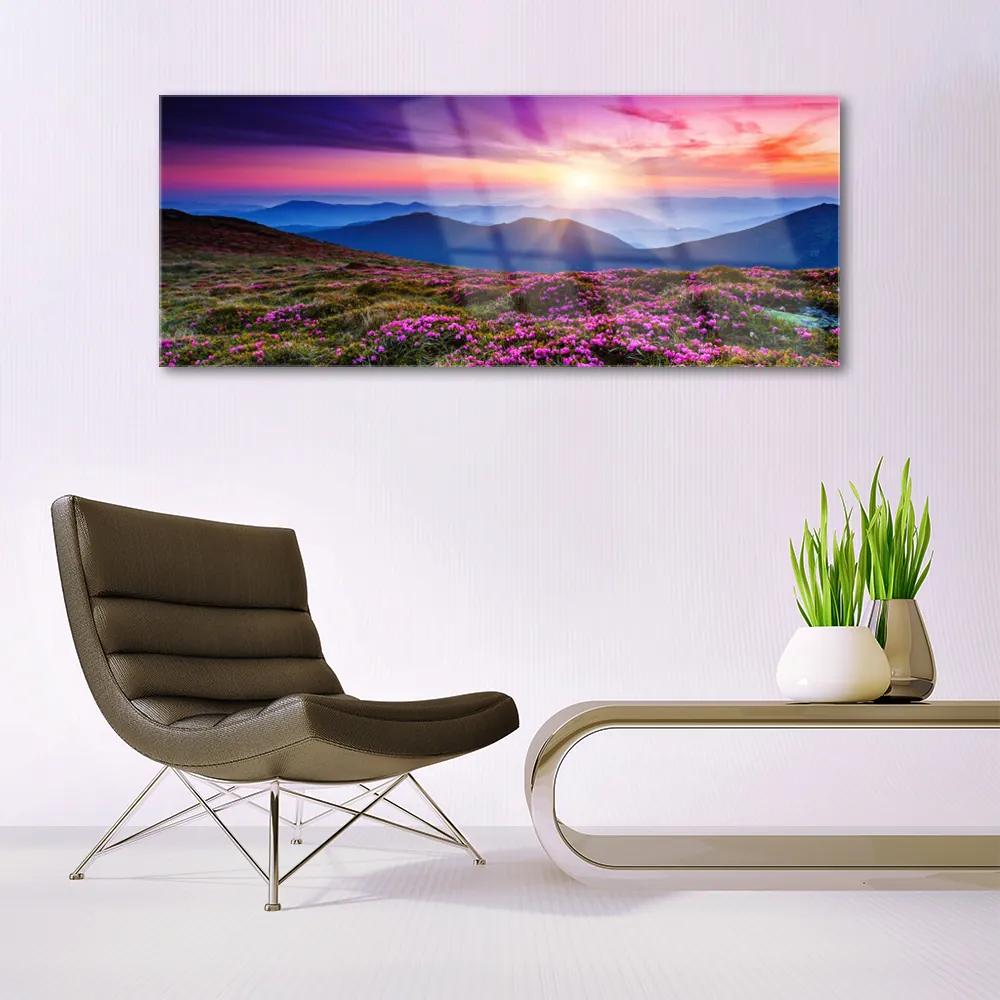 Akril üveg kép Sun Mountain Meadow Landscape 100x50 cm