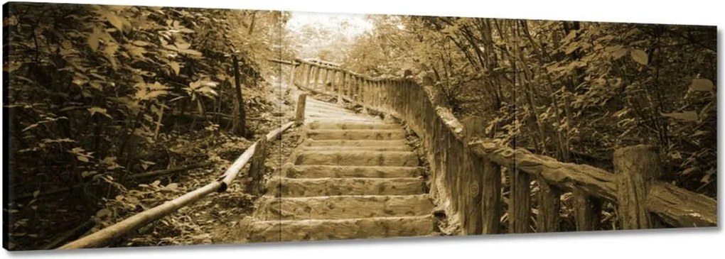 Vászonkép 90x30 Lépcsők szépia színben