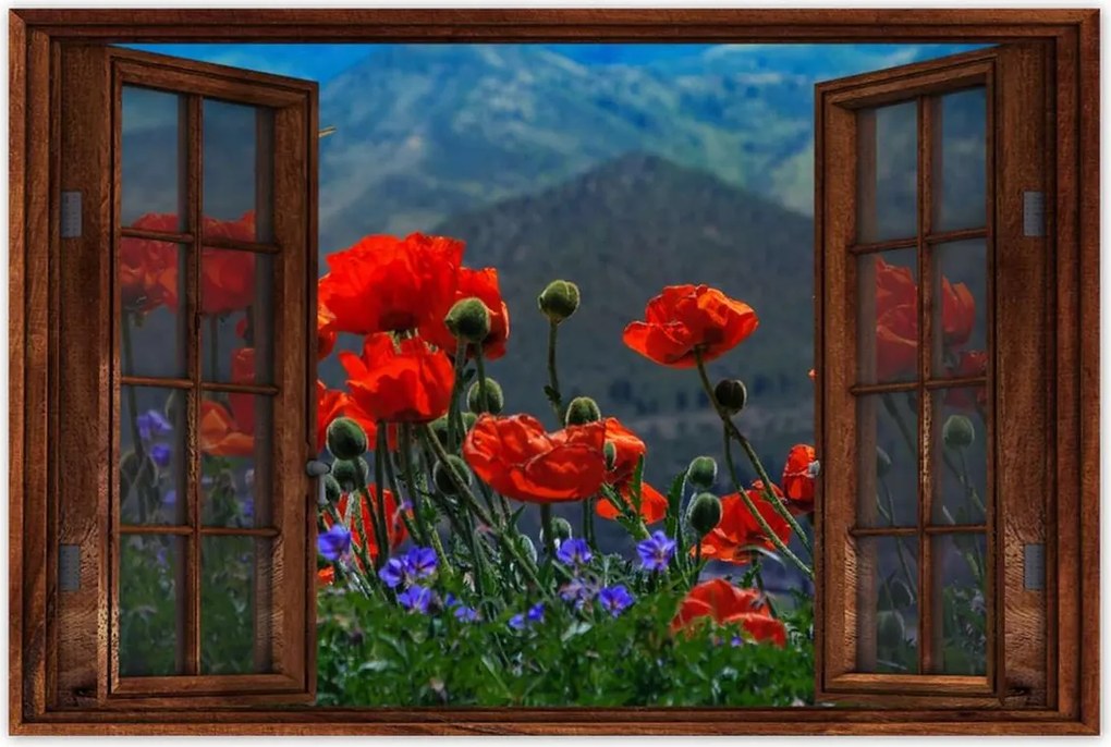 Poszterek 90x60 Piros pipacs Virágok