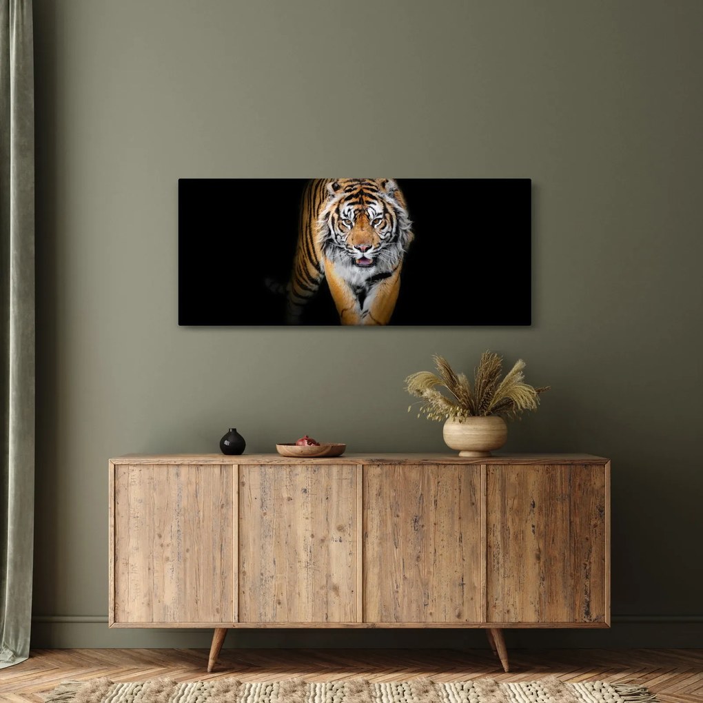 Kép - Tigris (120x50 cm)