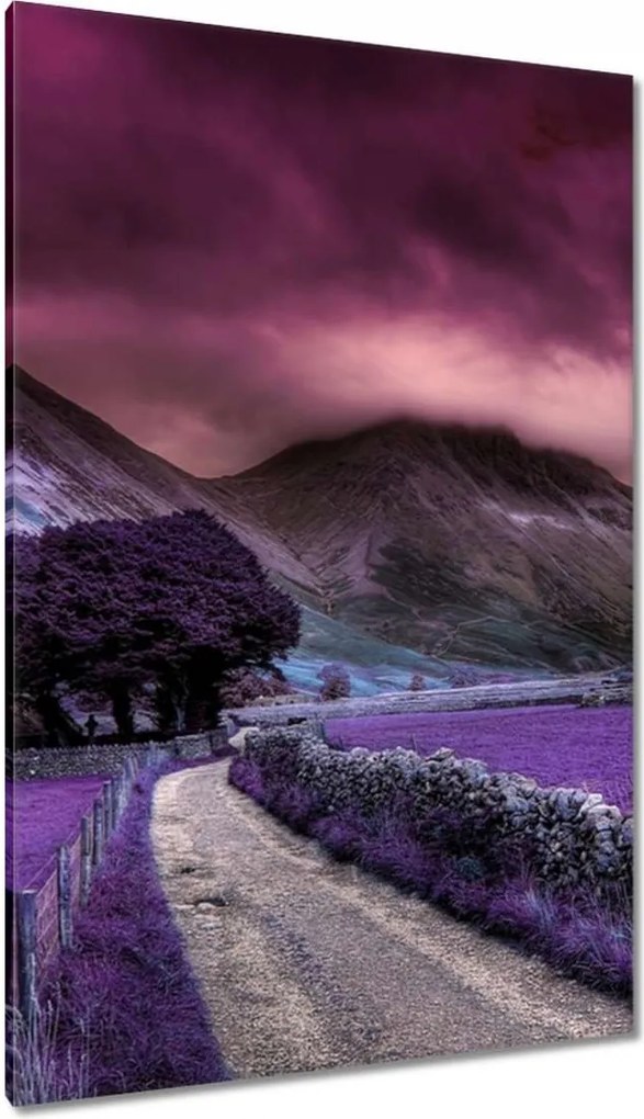 Vászonkép 80x120 Lila tájkép