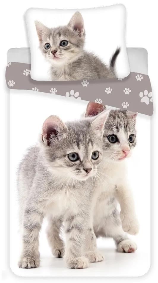 Jerry Fabrics Kitten grey gyermek pamut ágynemű, 140 x 200 cm, 70 x 90 cm