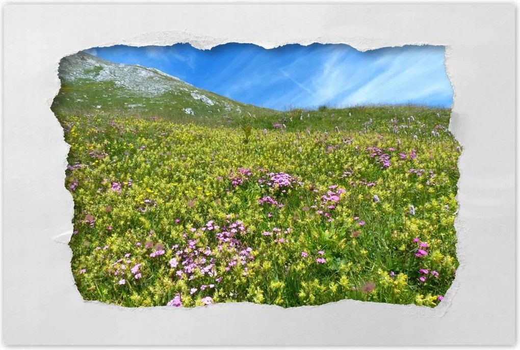 Poszterek 90x60 Alpesi rét