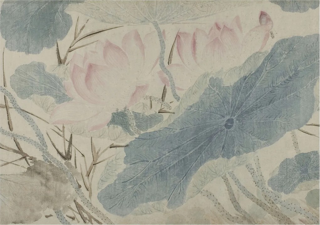 Dekoratív Fotótapéta Hálószoba Lótusz levelek 312x219 Ragasztó