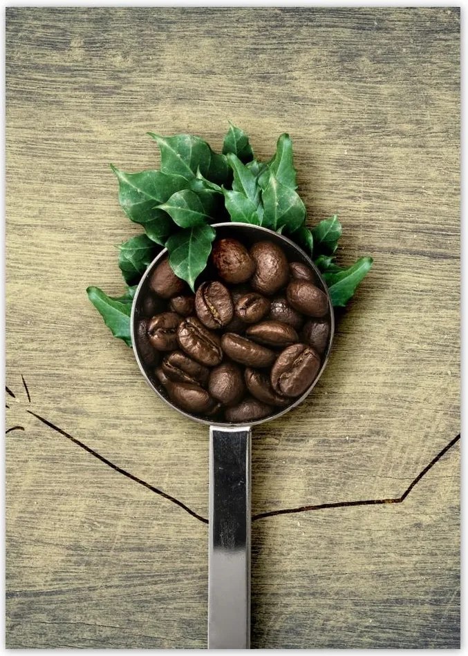 Poszterek A4 Pion Kávé Kaffe