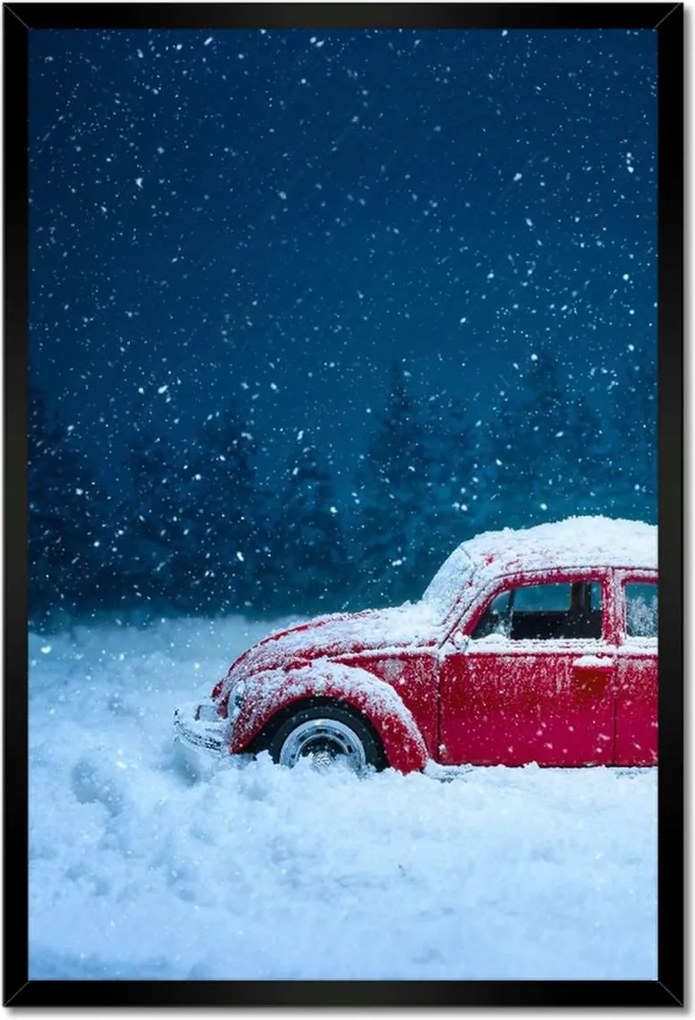 Poszterek keretben 40x60 Bogár