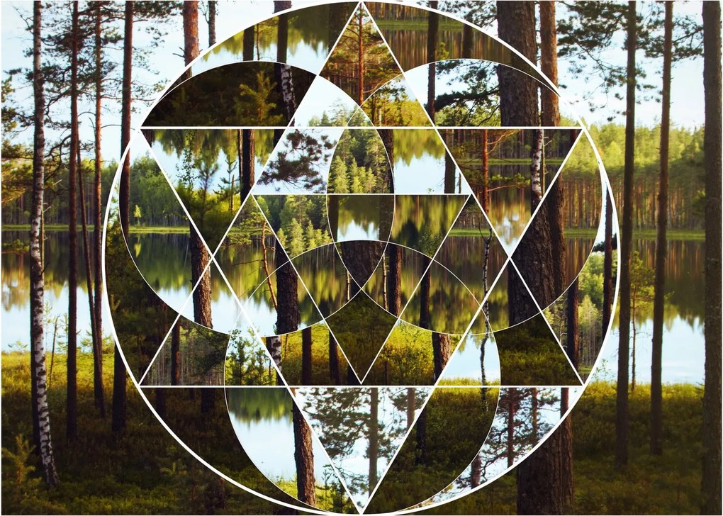 Kép - Geometrikus kollázs a skandináv erdők hátterében (üvegen) (70x50 cm)