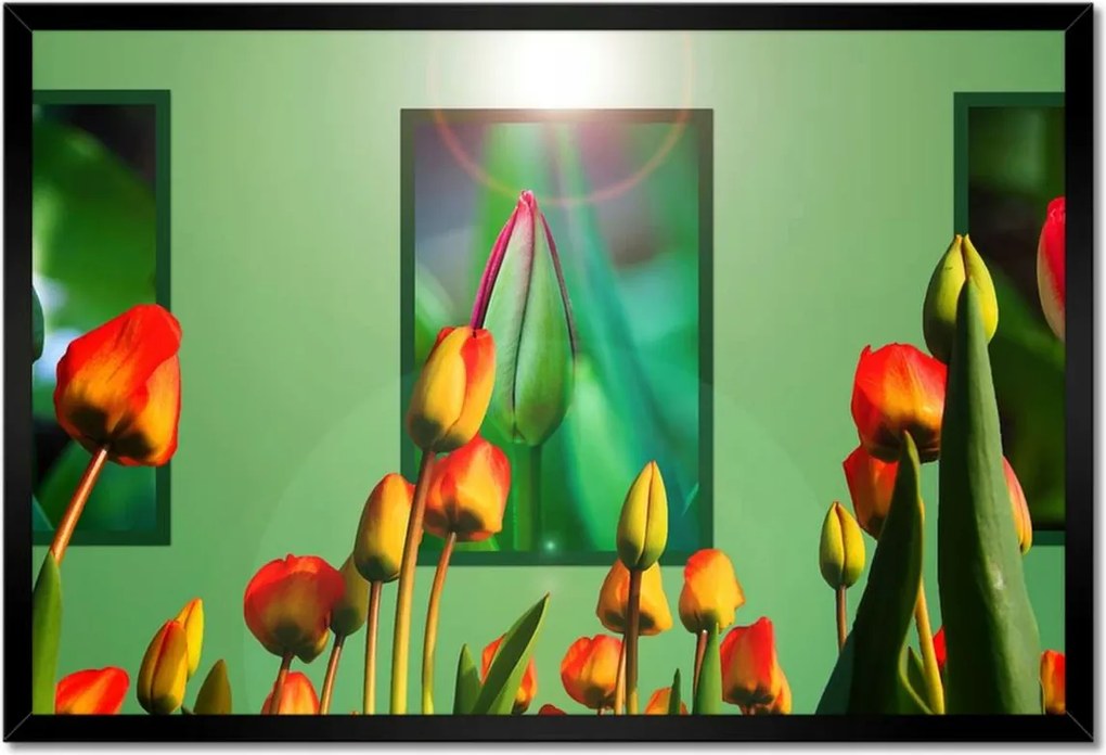 Poszter keretben 60x40 Tulipánok Virágok