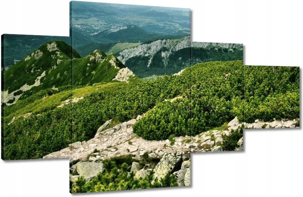 Képek 130x80 Tátra Lengyel hegyek Kilátás