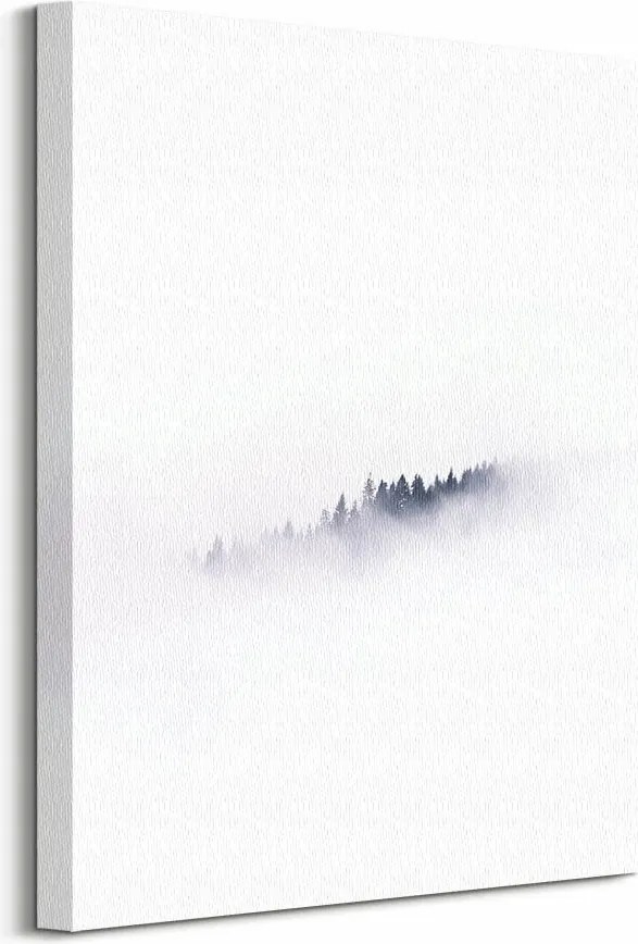 Fák a ködben erdő vászonkép 40x50 cm