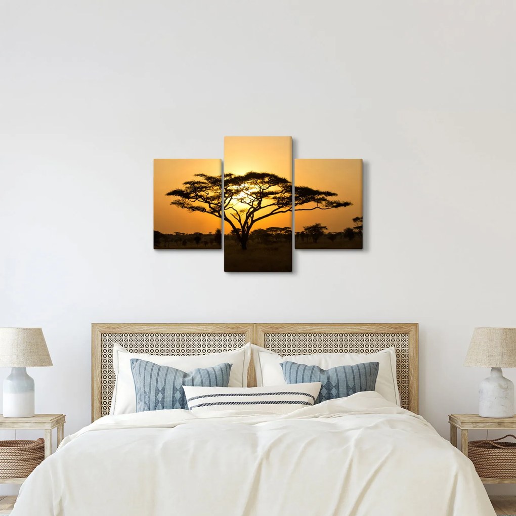 Kép - afrikai szavanna (90x60 cm)