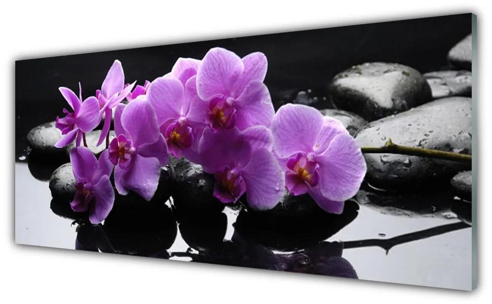 Üvegkép falra Stones virág növény 100x50 cm