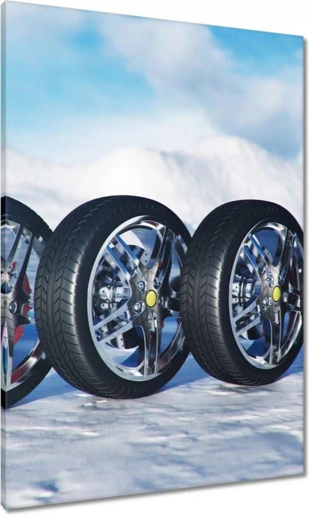 Vászonkép 70x100 Nyári gumiabroncsok a hóban