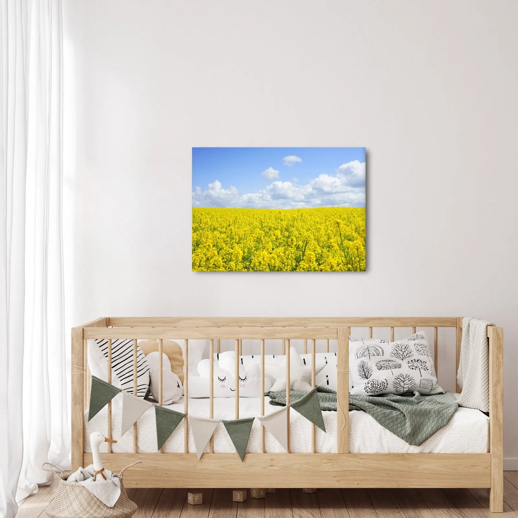Egy sárga mező képe (70x50 cm)