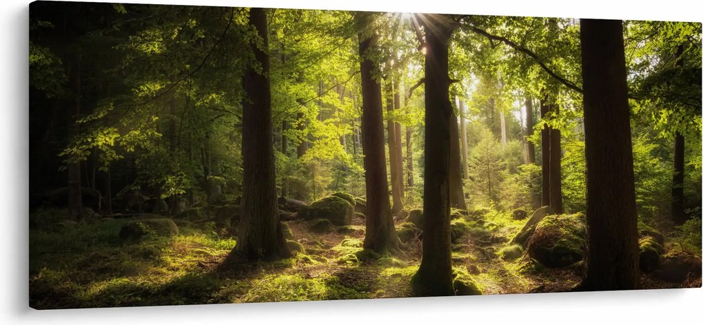 Egy álmodozó erdő képe (120x50 cm)