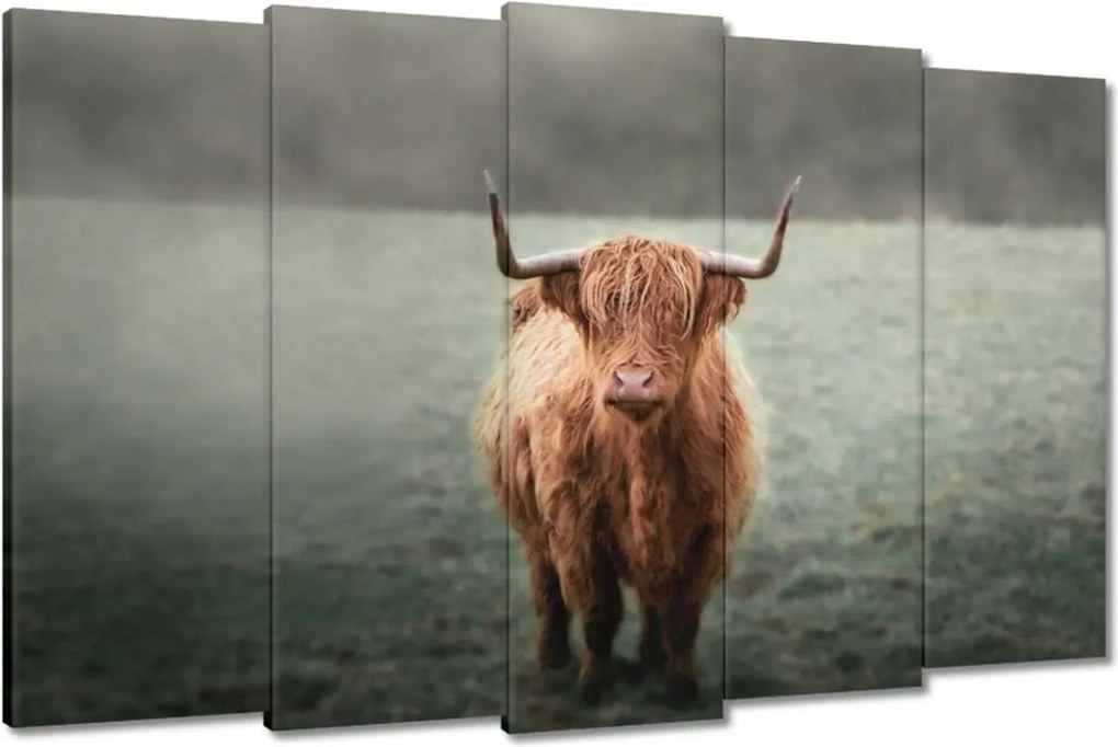 Képek 150x95 Mint a szarvak Hegyi rét