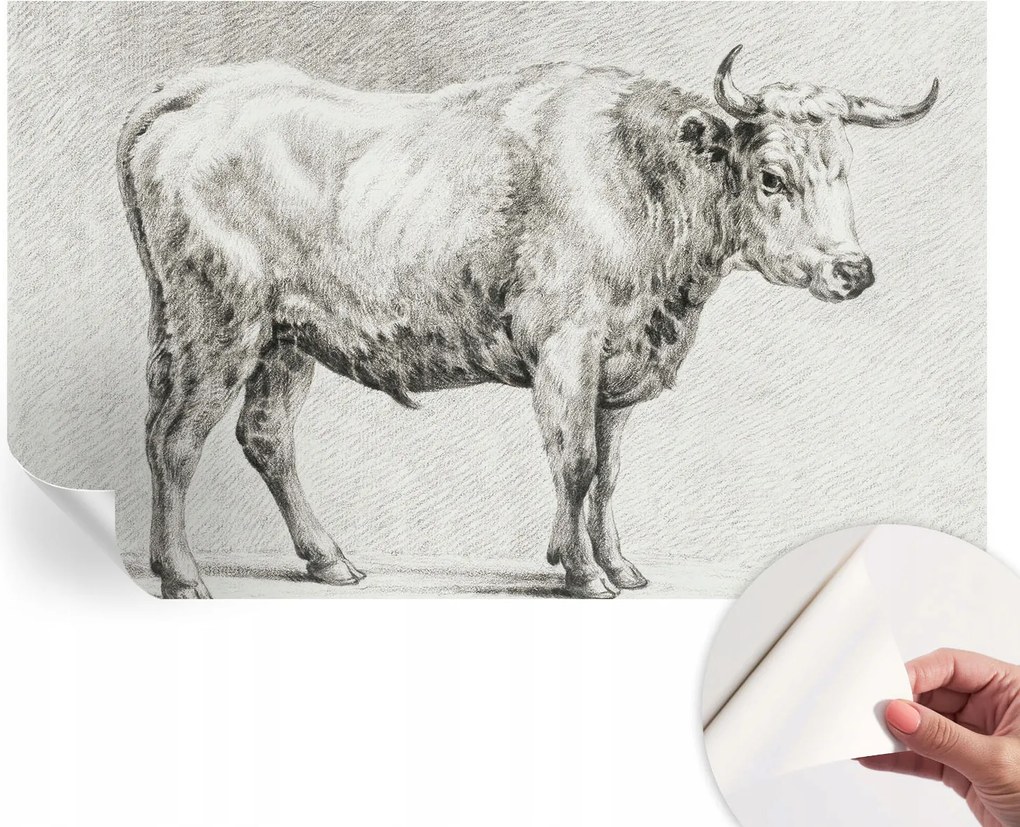 Öntapadós Dekoratív Fotótapéta Hálószobába Bika ceruza 416x254 cm
