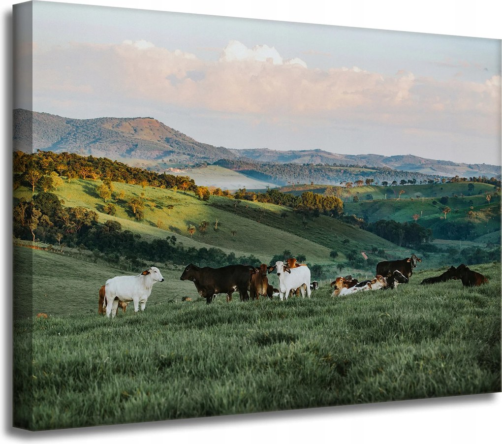 Vászonkép Természet Legelő Hegyek Juhok 40x30