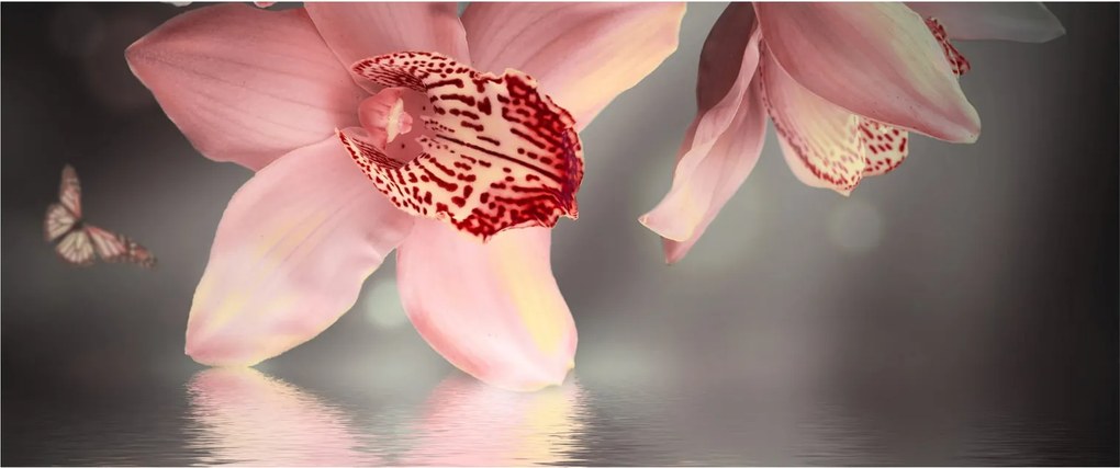 Kép - Virágok és pillangó (120x50 cm)