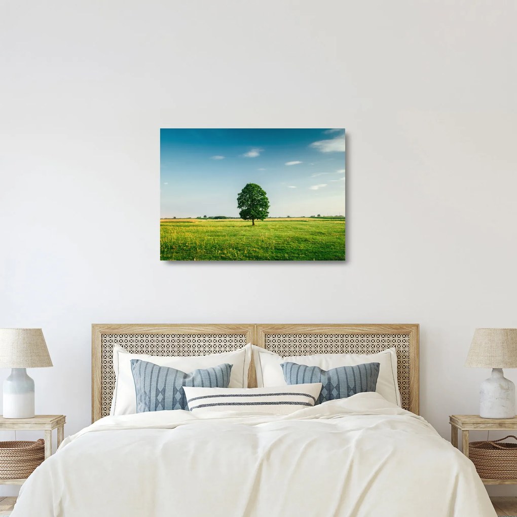 Egy fa képe egy rét közepén (üvegen) (70x50 cm)