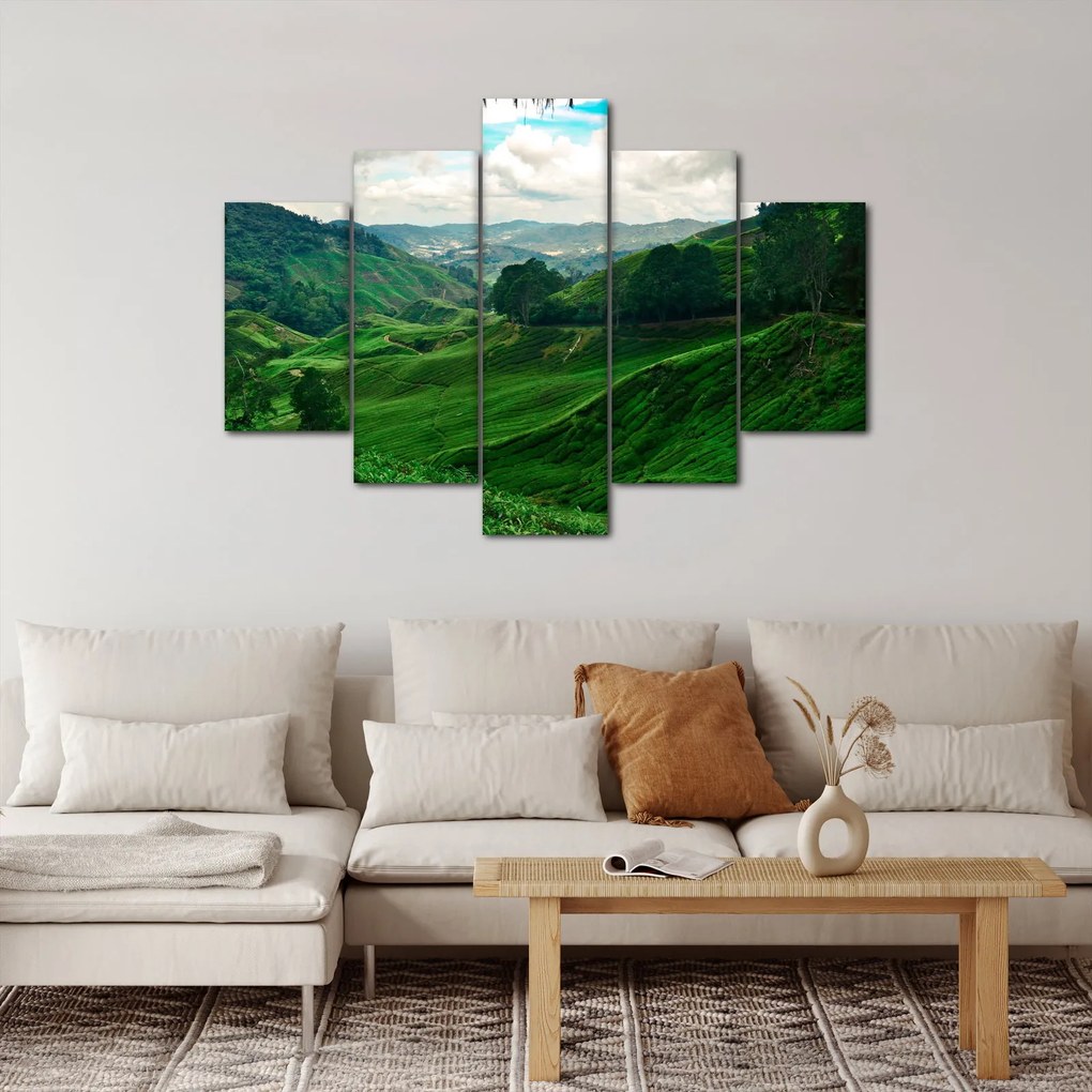Kép - Teaültetvények Malajziában (150x105 cm)