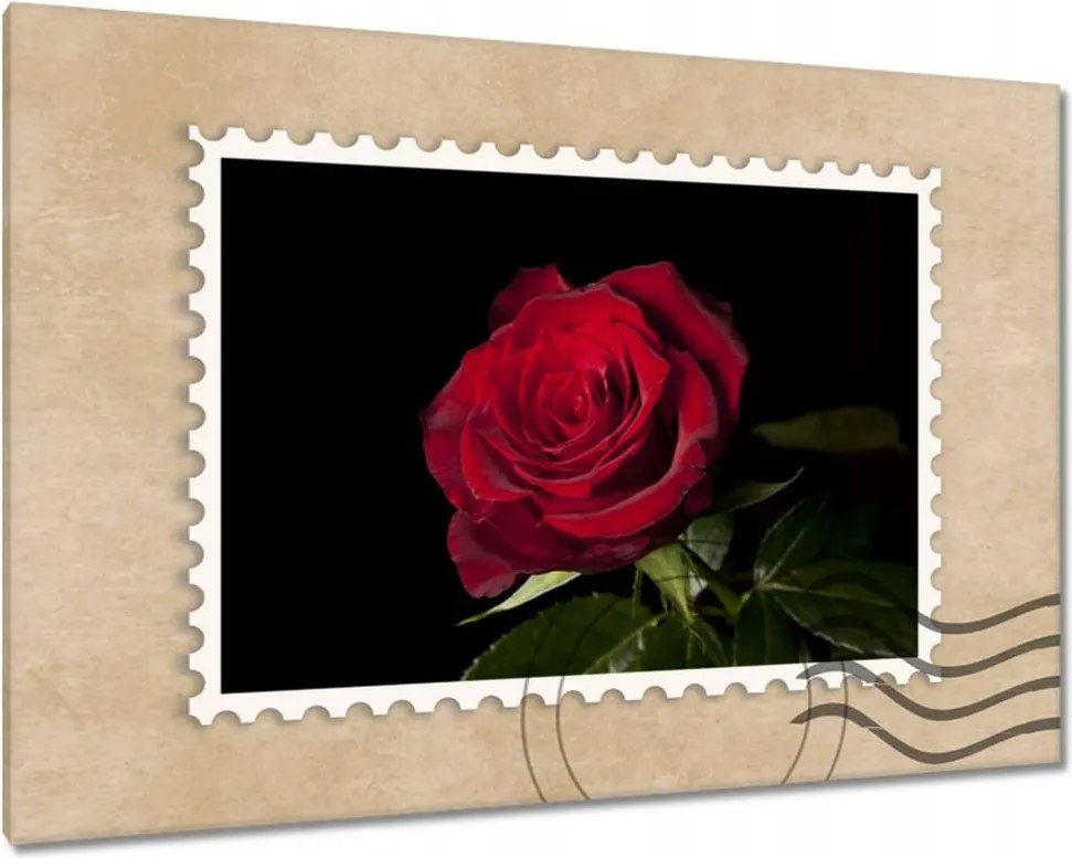 Vászonkép 60x40 Gyönyörű rózsa