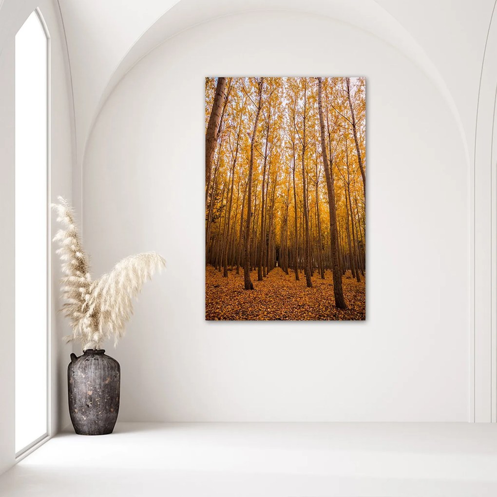 Gario Poszter Arany erdo osszel A keret színe: Fekete, Méret: 20 x 30 cm